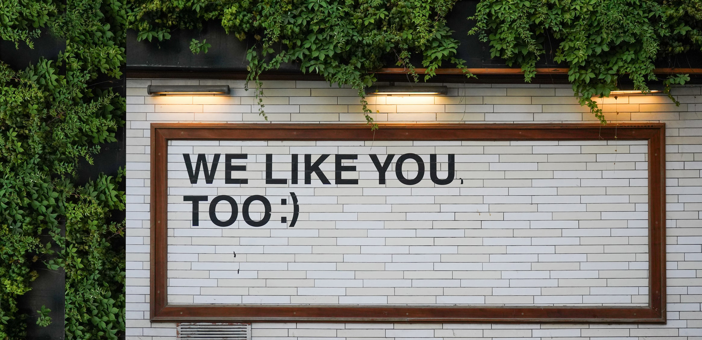Photograph of a mural with the sign We like you too