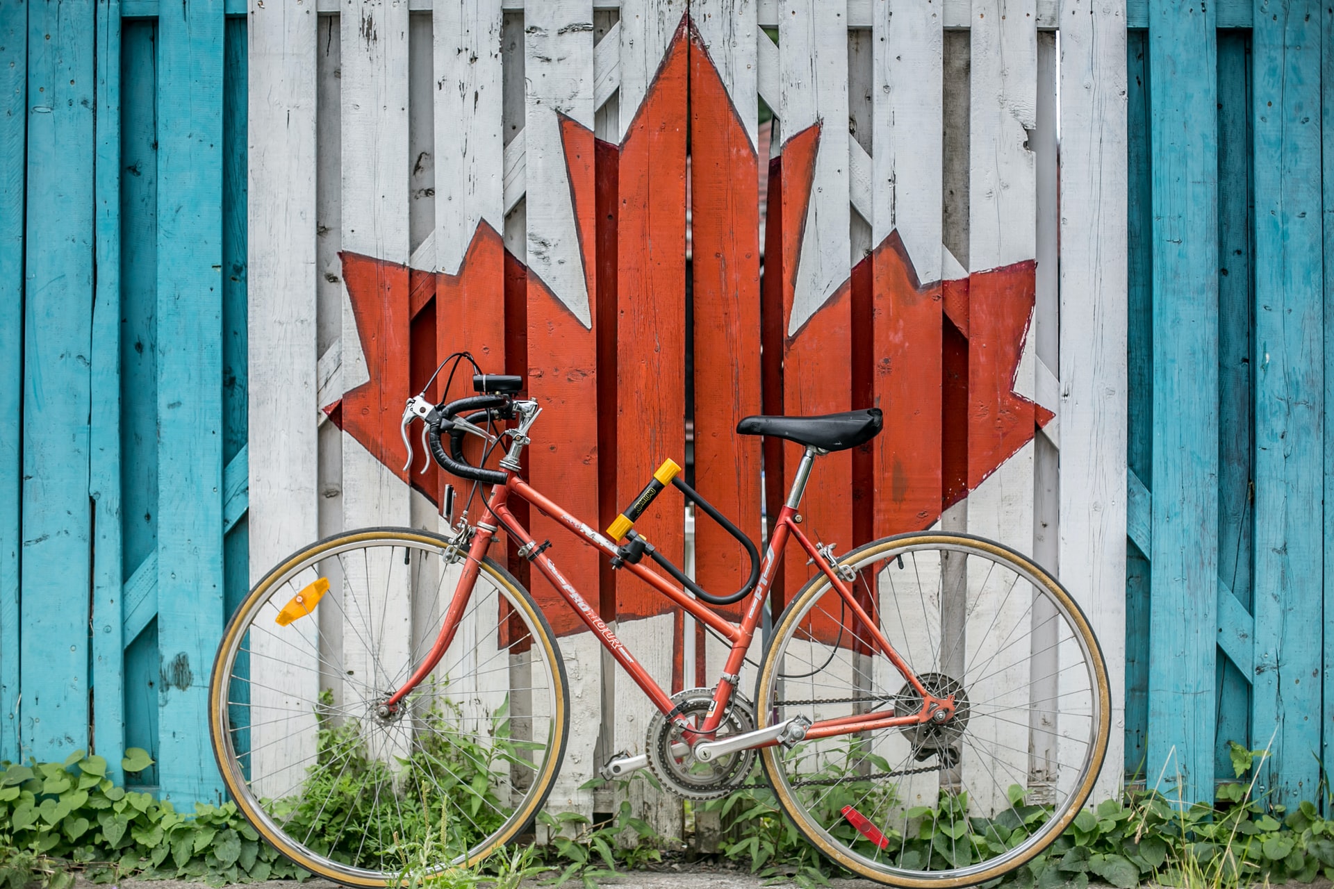 Photo of a byclicle leaning on a mural of a maple leaf