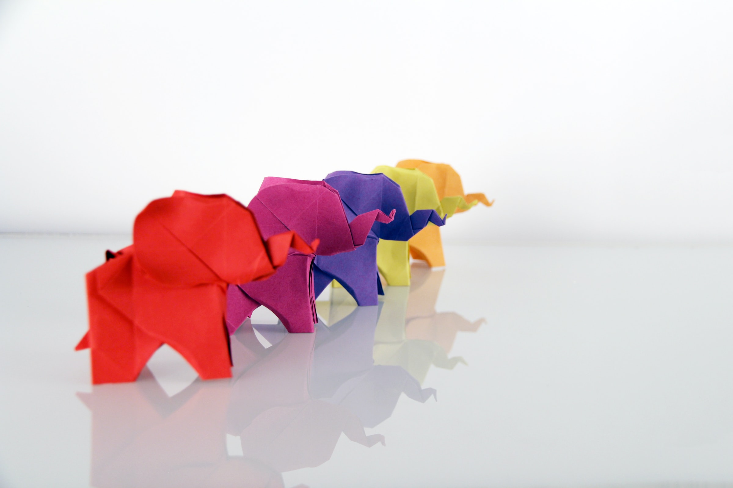 Fotografia di origami di animali colorati