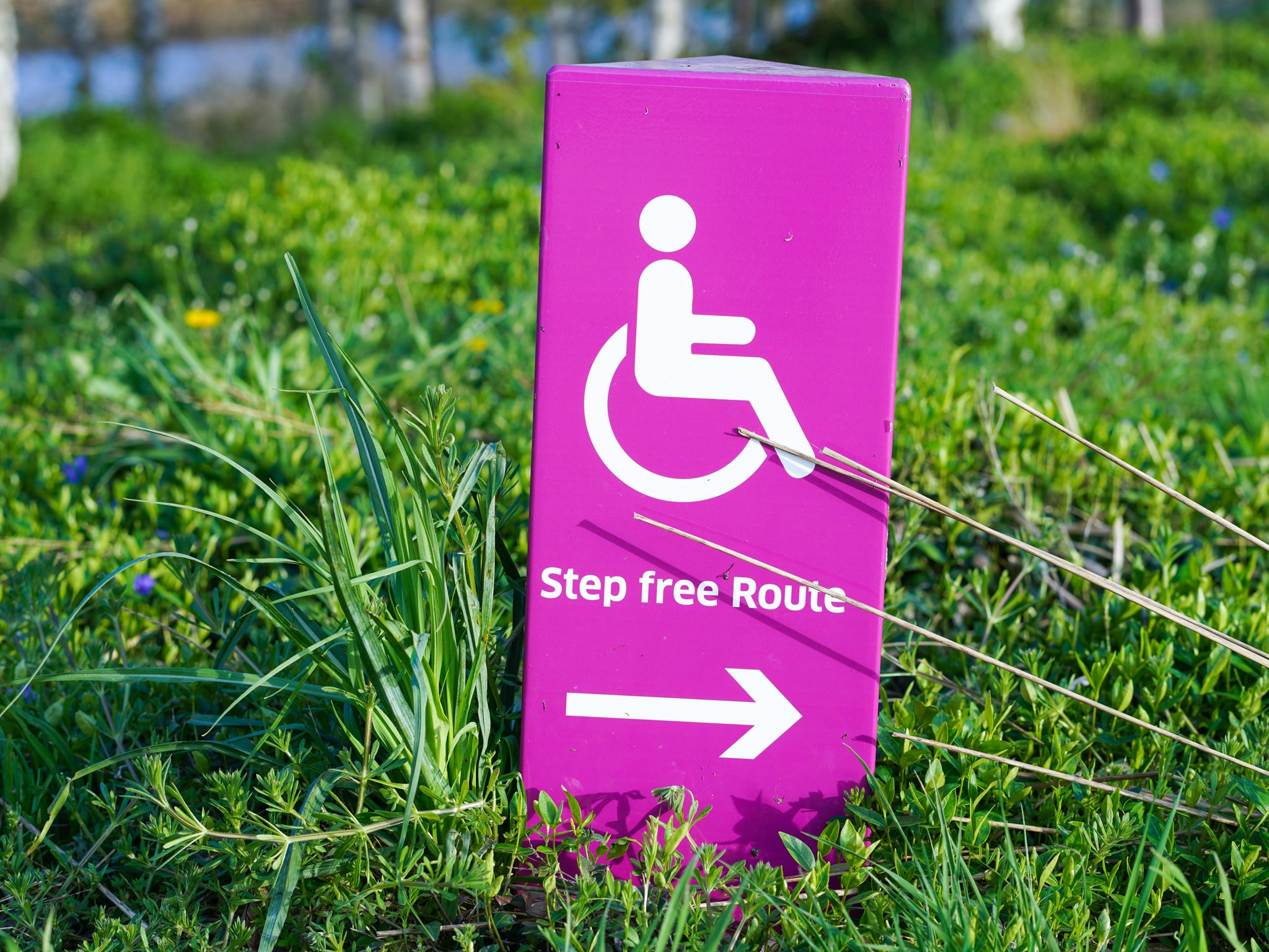 photograph of a sign with the symbol of wheelchair andth the words 