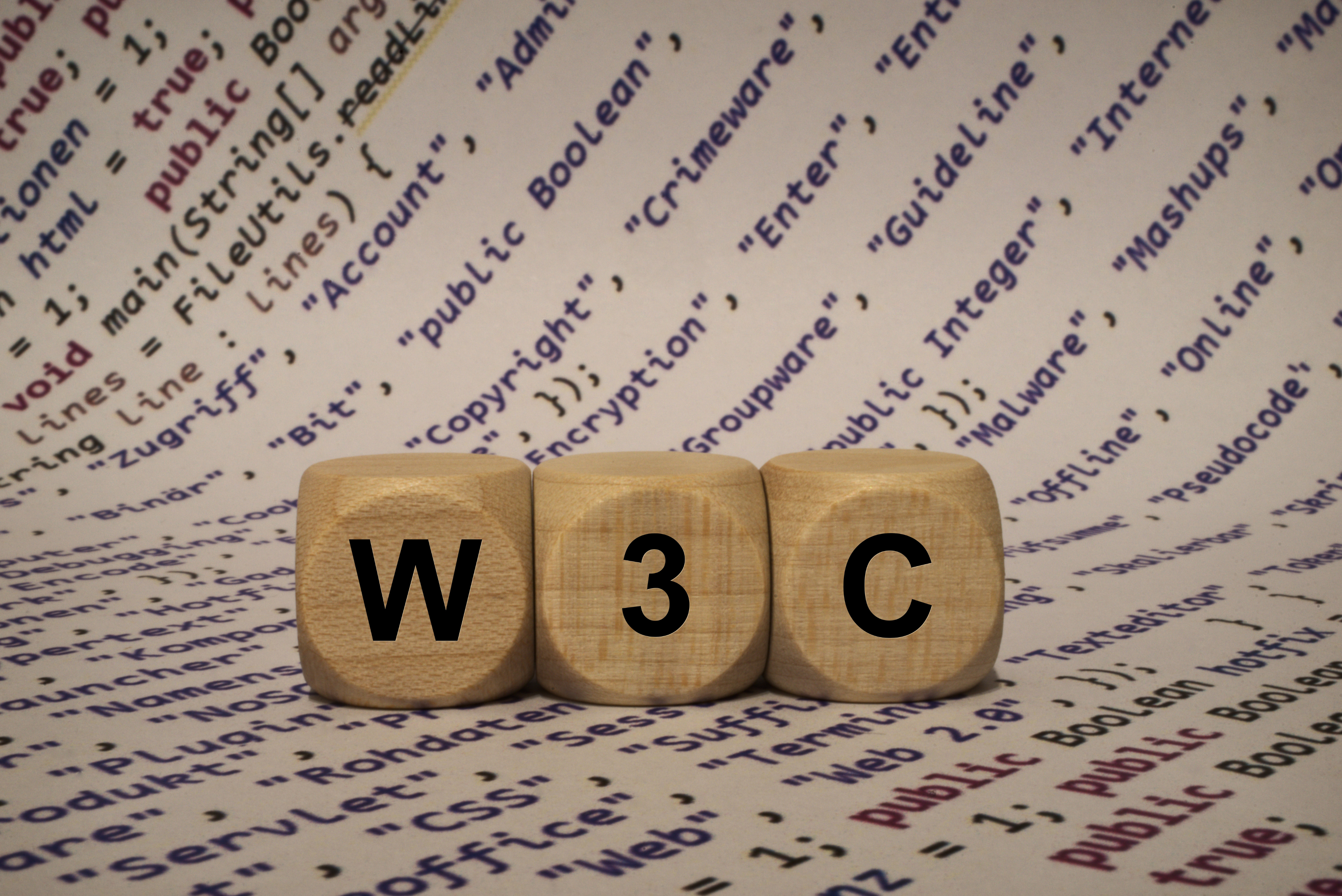 Fotografia con scritta W3C