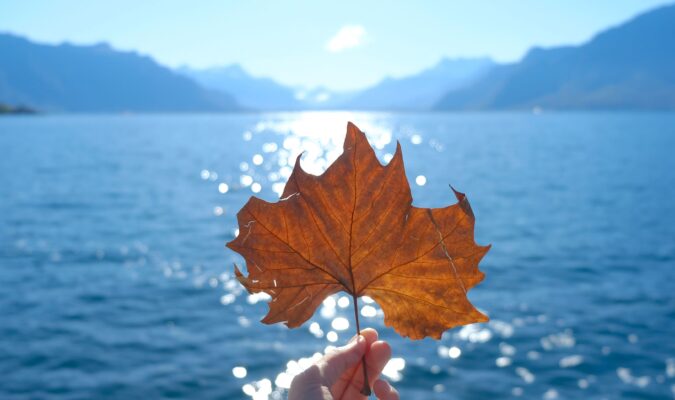 Fotografia di una foglia di acero, sullo sfondo un lago